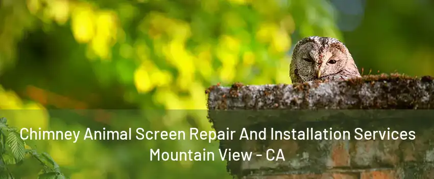 Chimney Animal Screen Repair And Installation Services Mountain View - CA