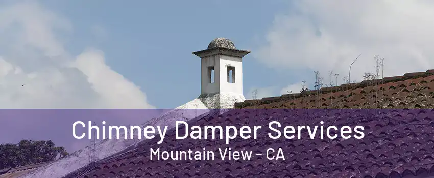 Chimney Damper Services Mountain View - CA