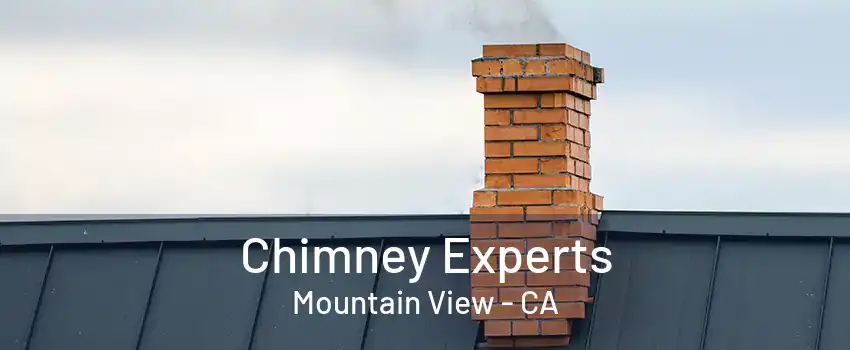 Chimney Experts Mountain View - CA