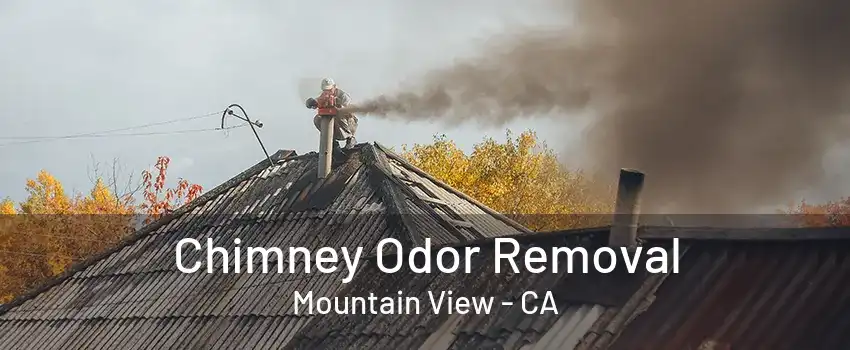 Chimney Odor Removal Mountain View - CA