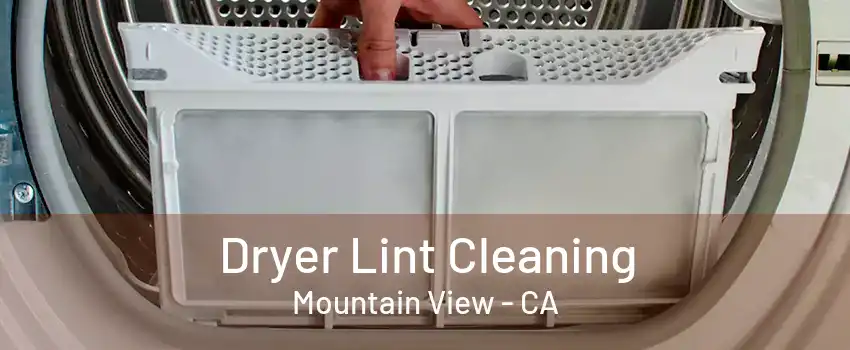 Dryer Lint Cleaning Mountain View - CA