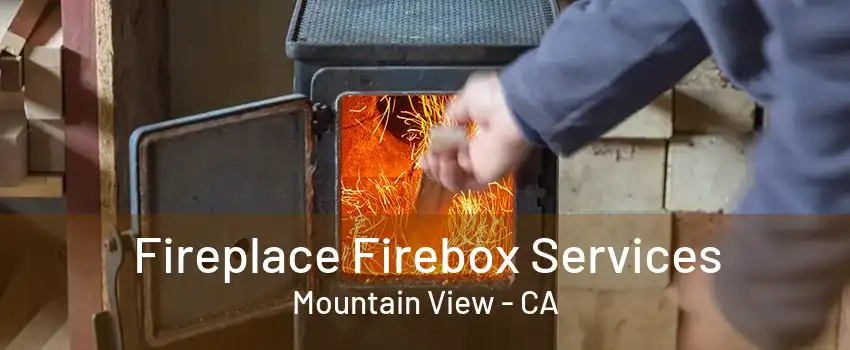 Fireplace Firebox Services Mountain View - CA