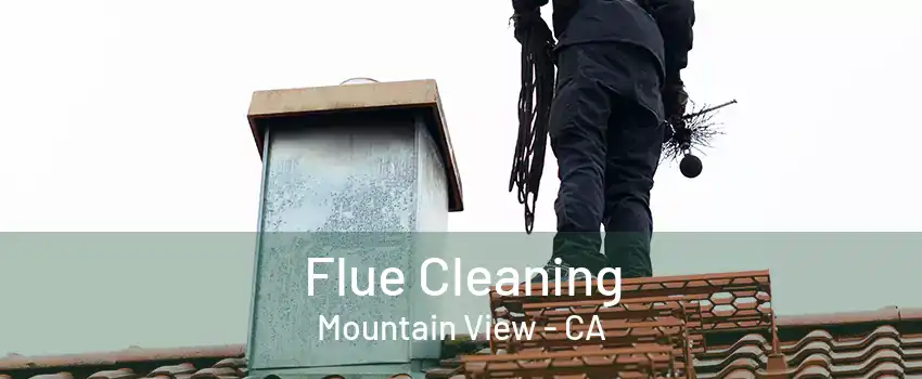 Flue Cleaning Mountain View - CA