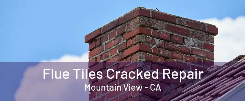 Flue Tiles Cracked Repair Mountain View - CA