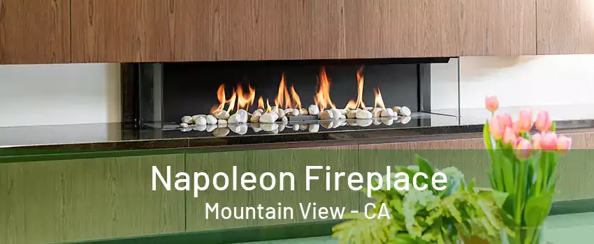 Napoleon Fireplace Mountain View - CA