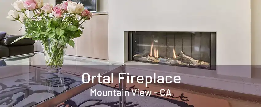 Ortal Fireplace Mountain View - CA