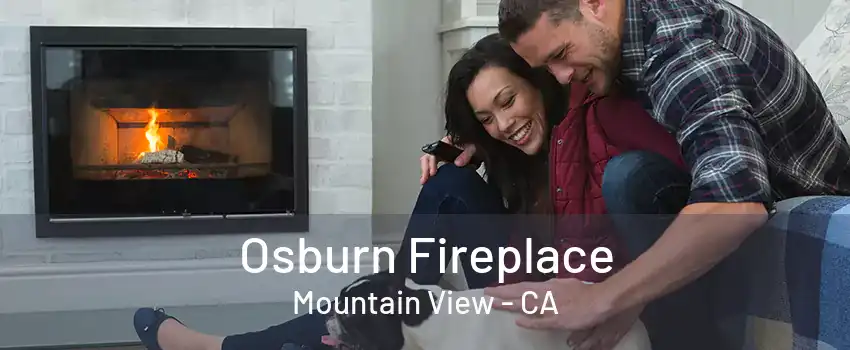 Osburn Fireplace Mountain View - CA