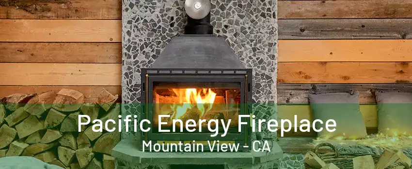 Pacific Energy Fireplace Mountain View - CA