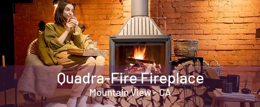 Quadra-Fire Fireplace Mountain View - CA